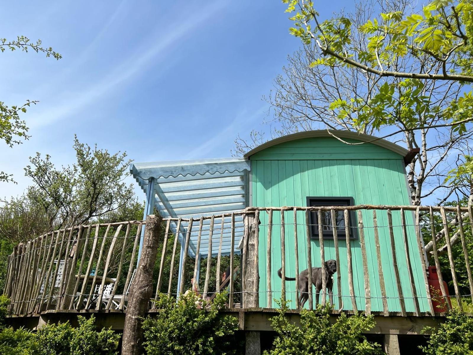 Lapin Cottage Long Bredy Εξωτερικό φωτογραφία